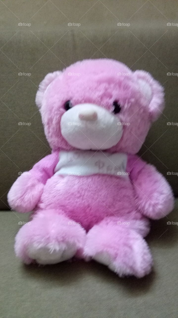 Pink Teddy