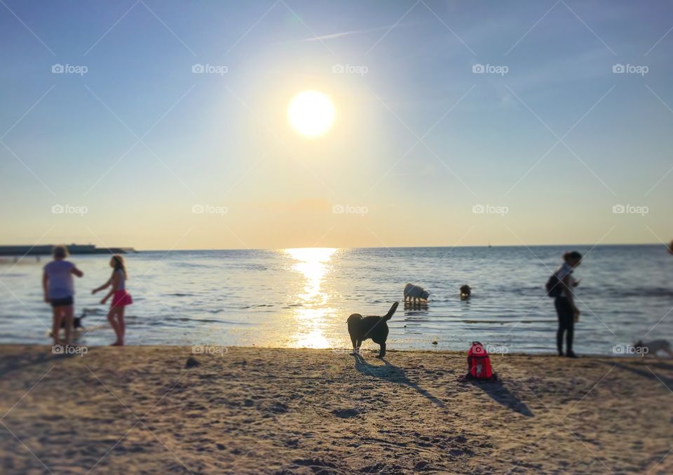 Hanging at the beach