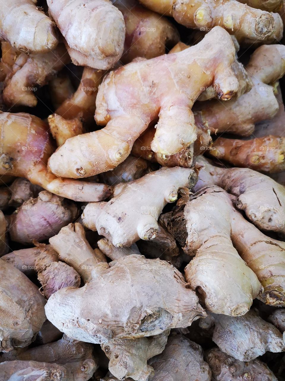 Fresh ginger and used in a lot of multiple cooking with the preparation of winter drinks