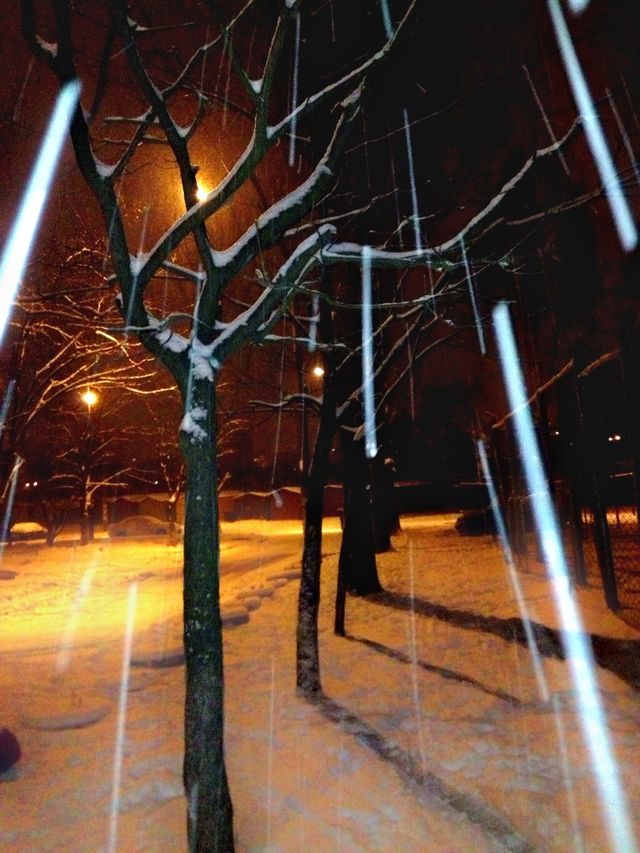 Snowstorm