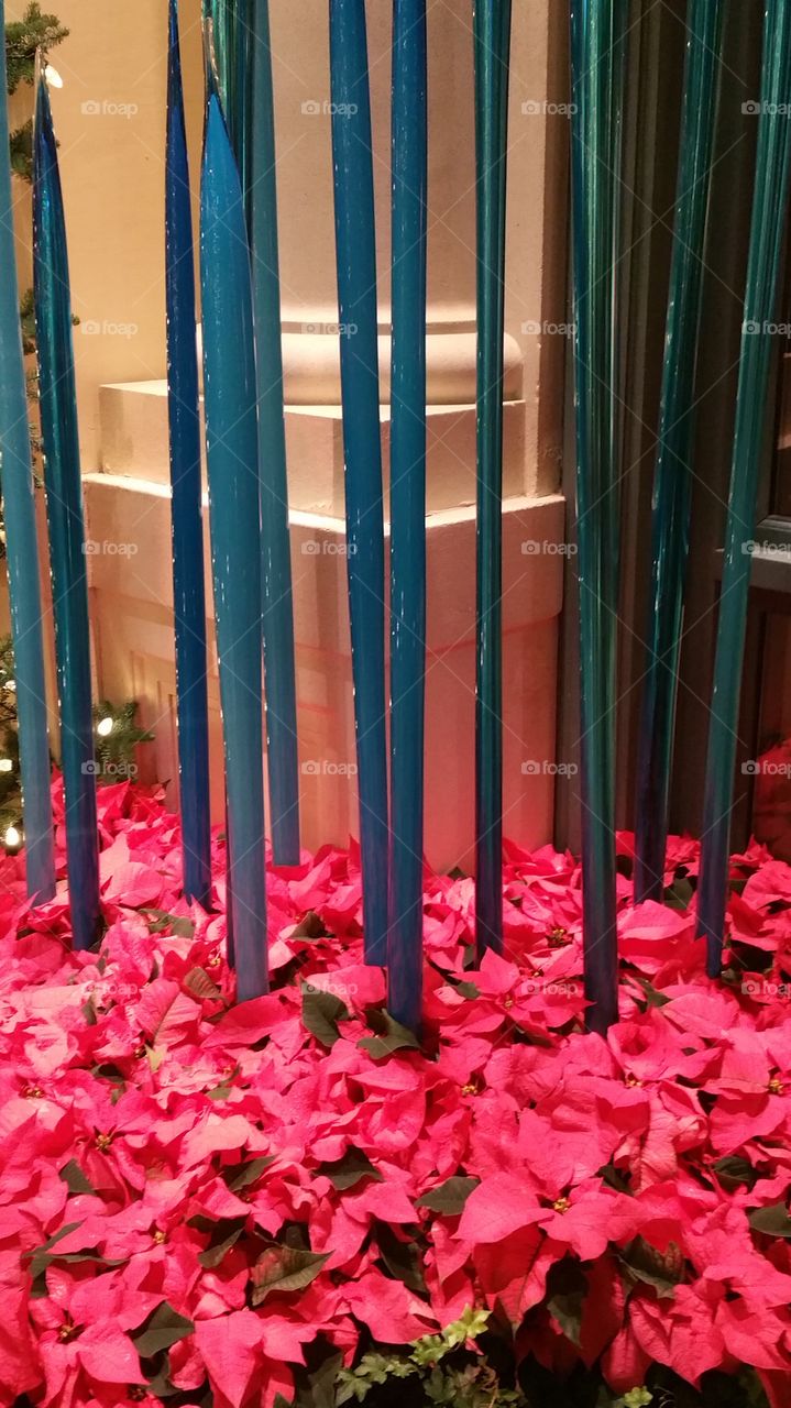 Trihuli Cut Glass at Bellagio Concervetory Among Red Poinsettias