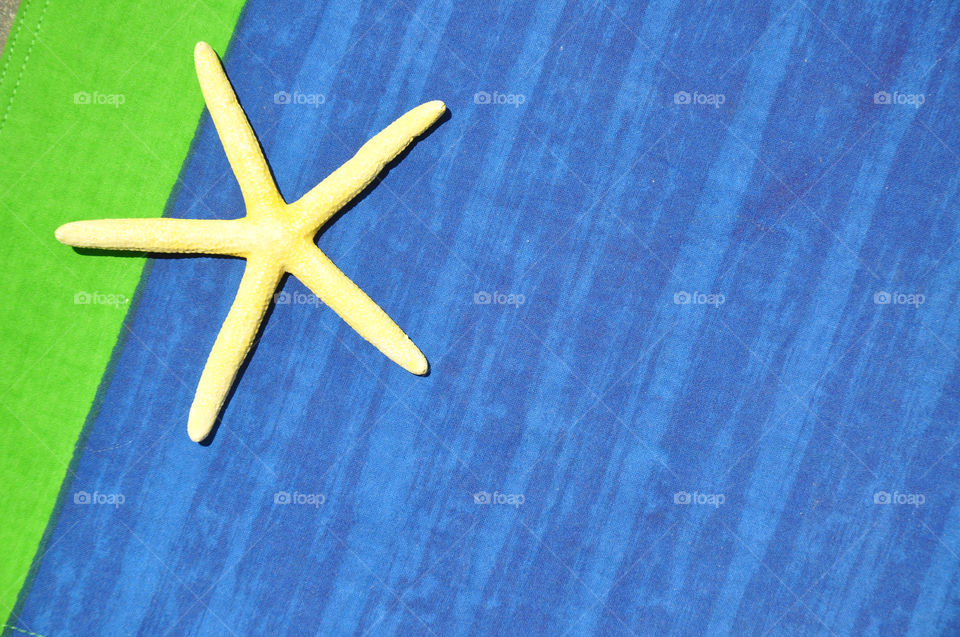  Starfish on wooden table