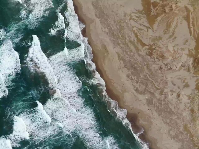 Sea and Dune