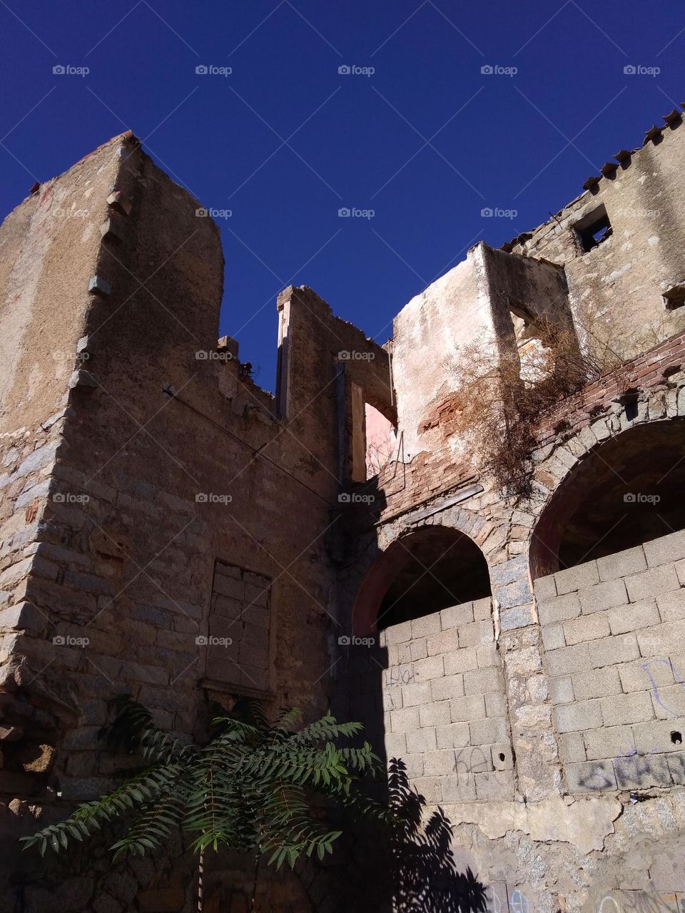 Editors' Choice: Photo of the Week