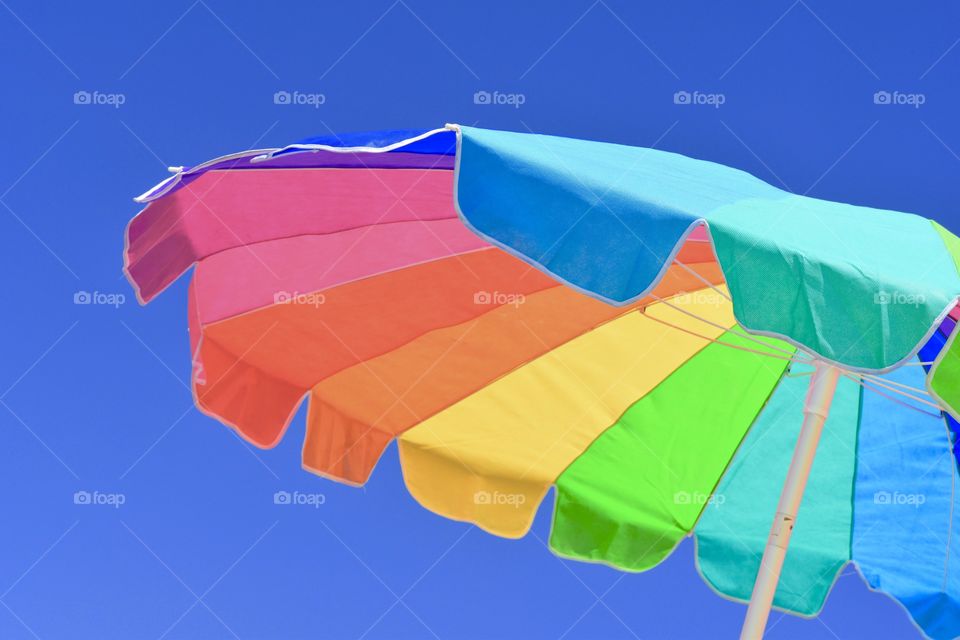 Let the Vacation Begin 