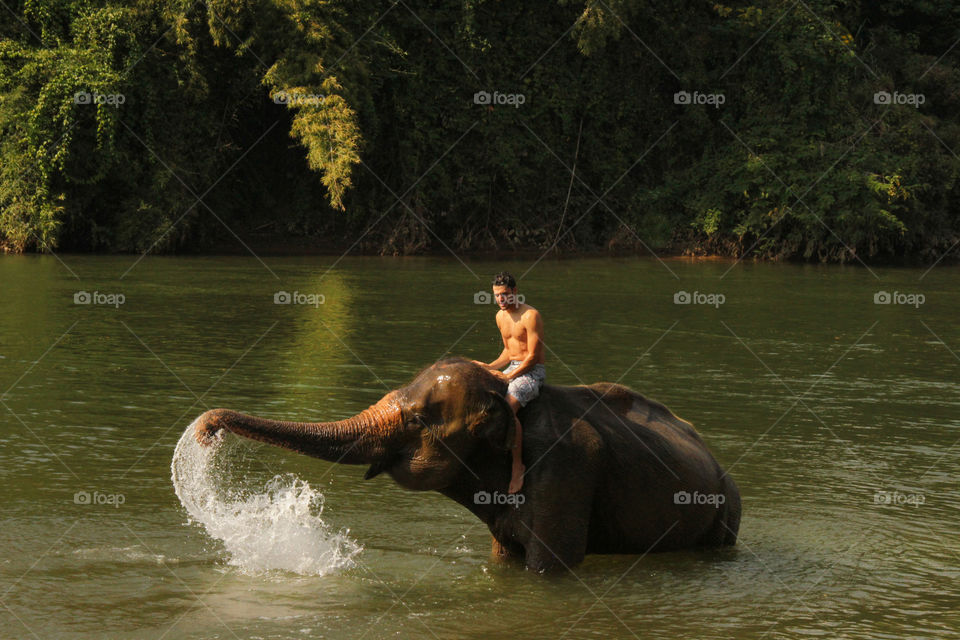 Riding Elephant 