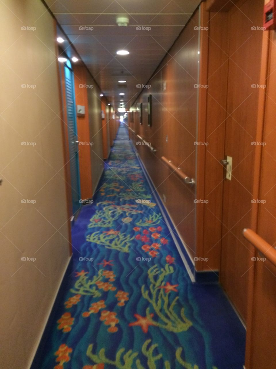 Norwegian Pearl hallway 