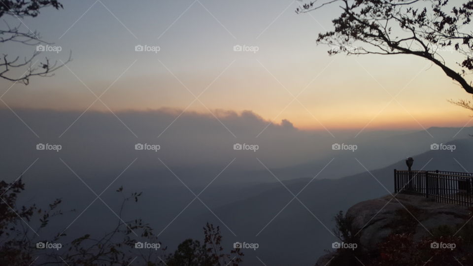 Fog, Dawn, Landscape, Sunset, Tree