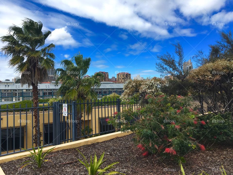 Hidden gem in the city