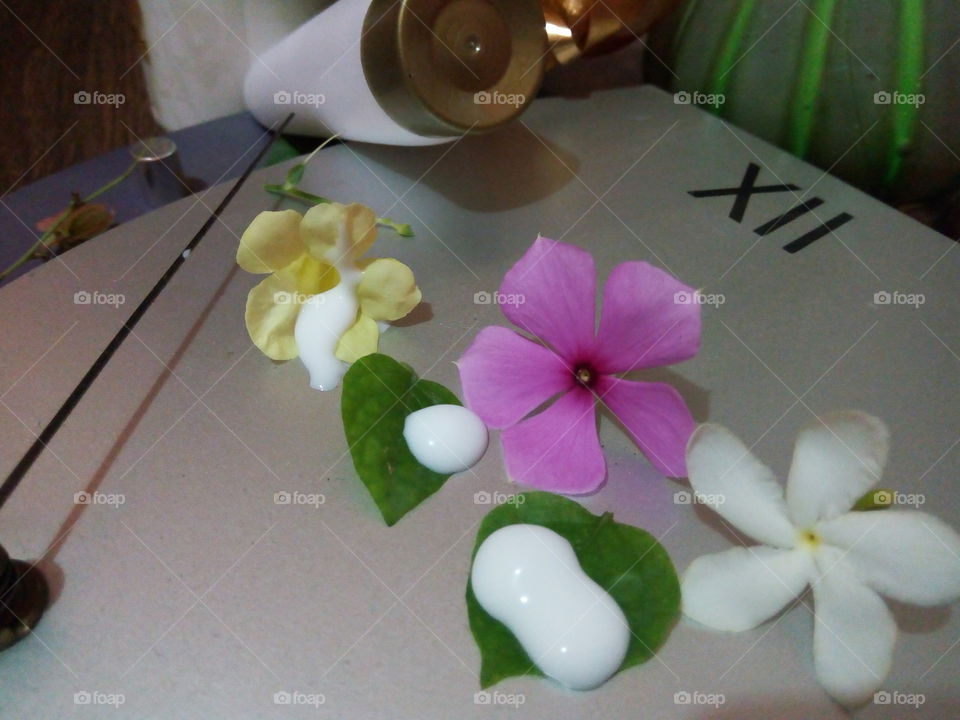 Flower, No Person, Nature, Beautiful, Indoors