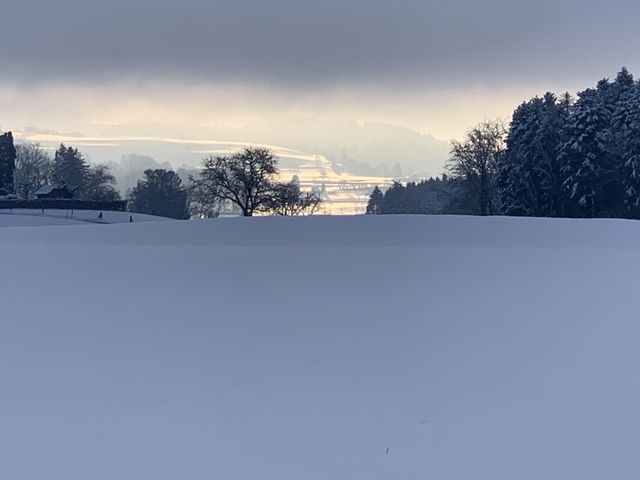 Swiss