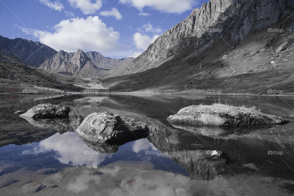 infrared landscape