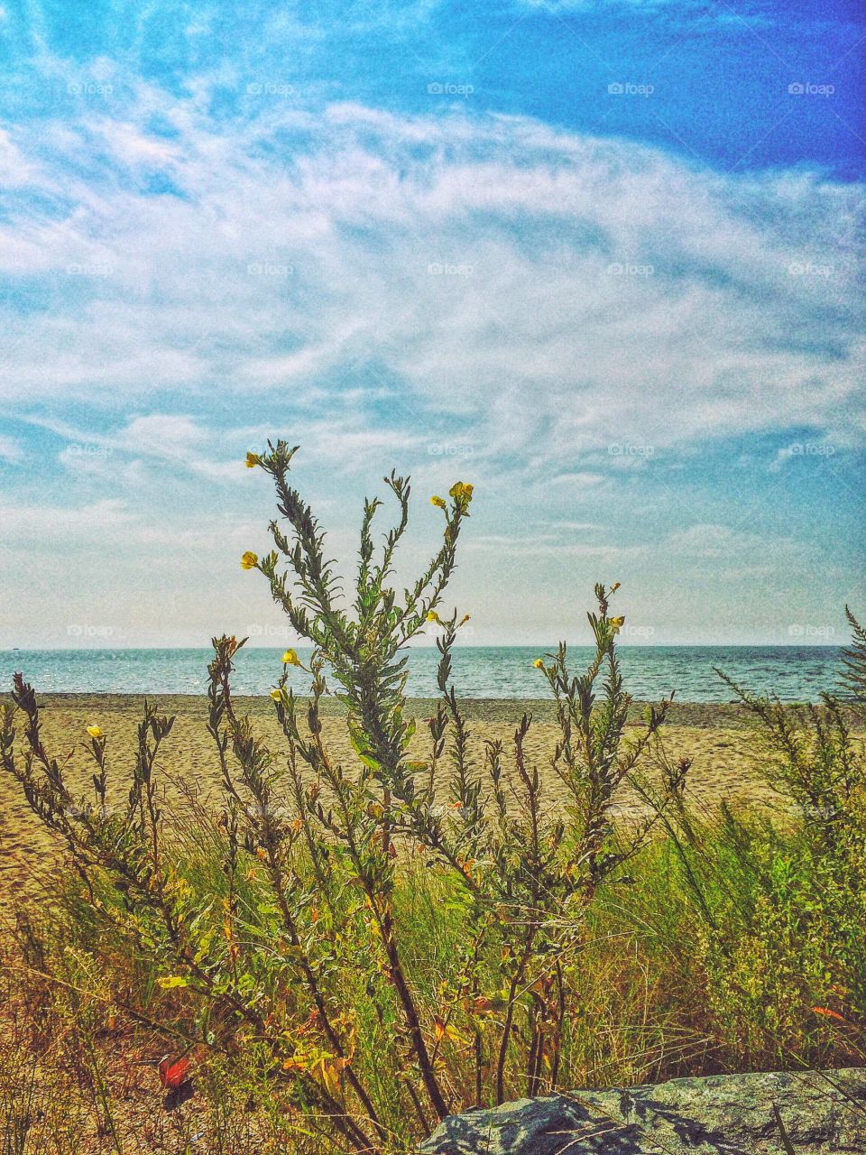 Walking the Stratford seawall....