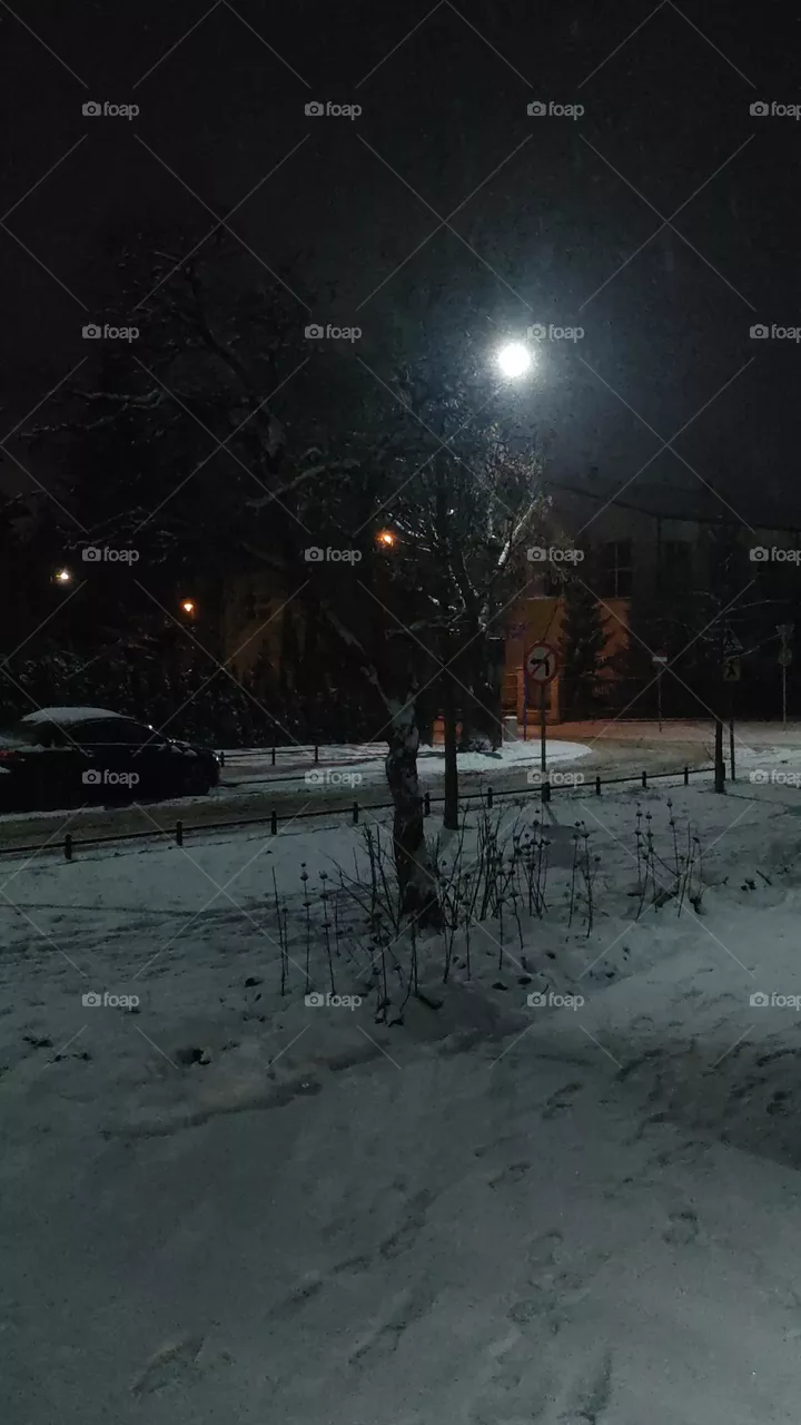 snow vibe