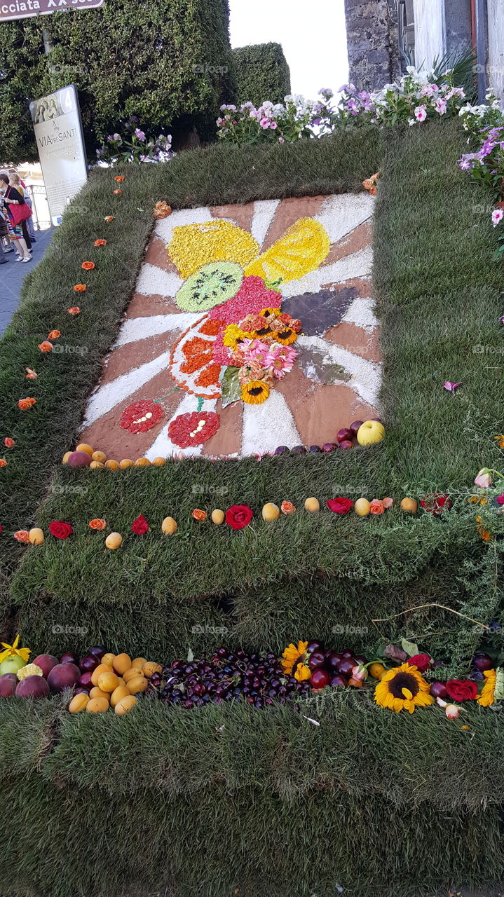 infiorata tra fiori e frutta a Sant'Alfio (CT)