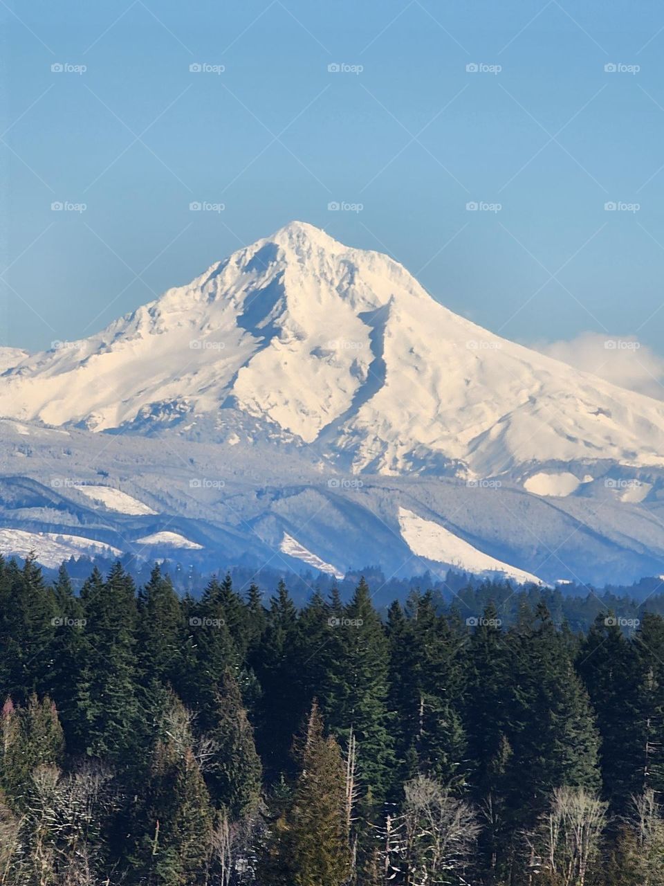 Mountain covered in snow