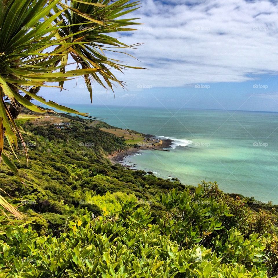 The Raglan coastline, New Zealand
