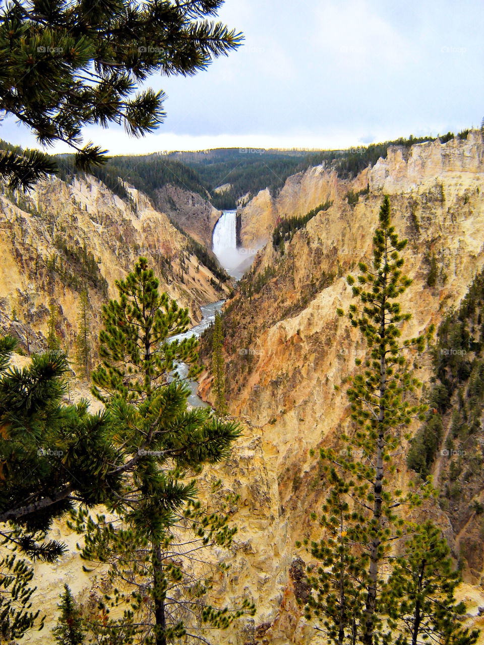 tree waterfall river mountains by refocusphoto