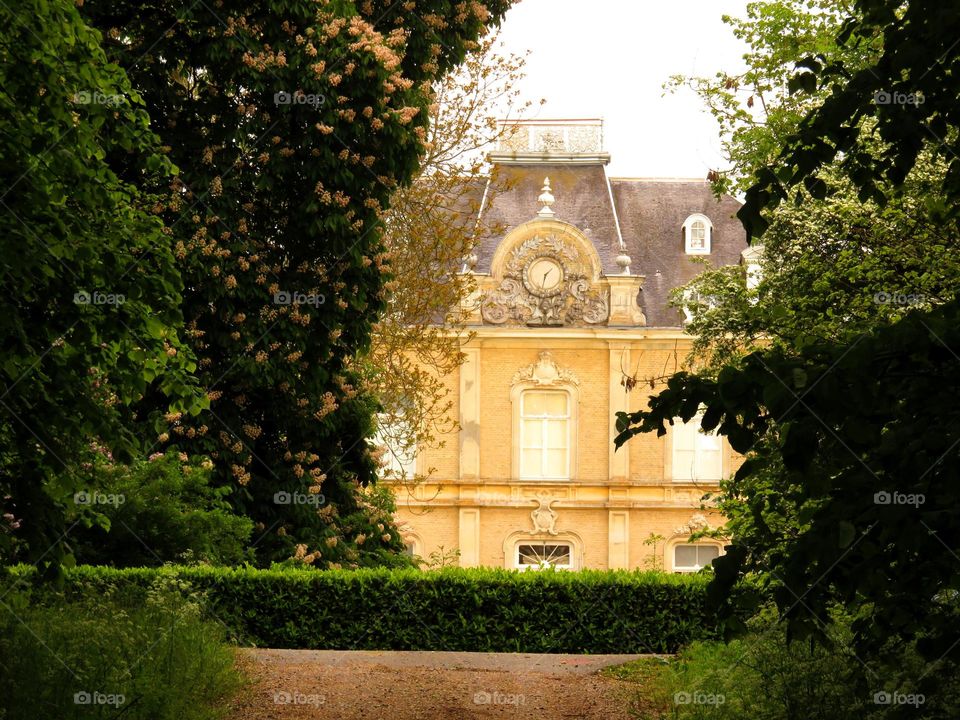 mansion in trees