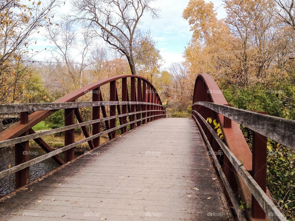 Lake County Forest Preserve