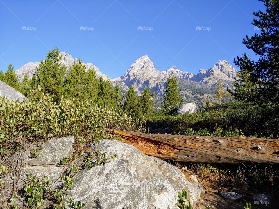 Grand Tetons National Park