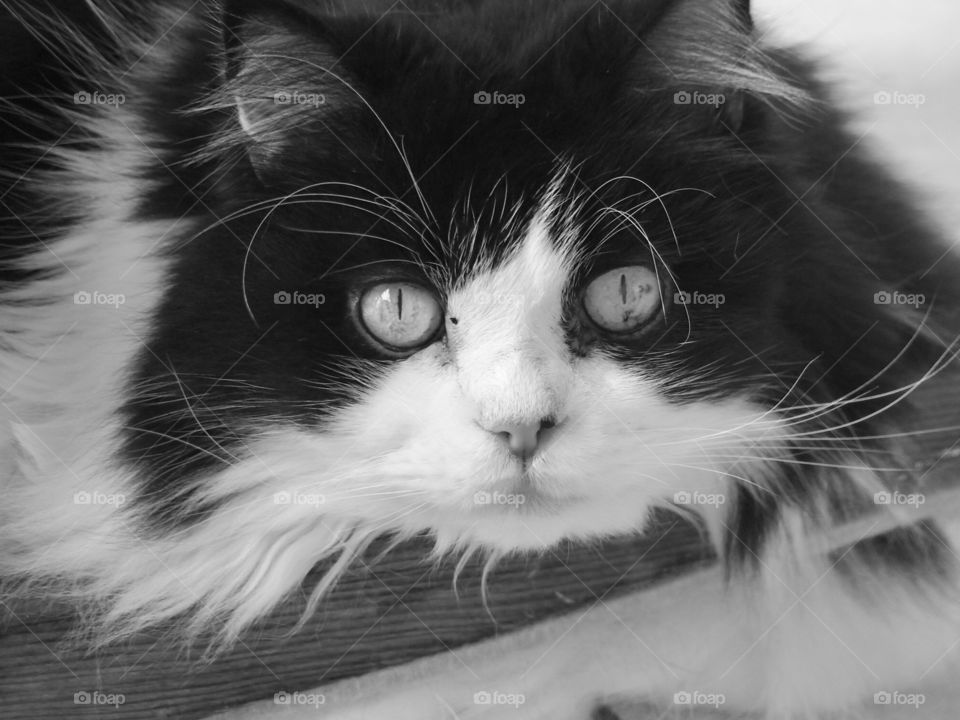 World in black and white 