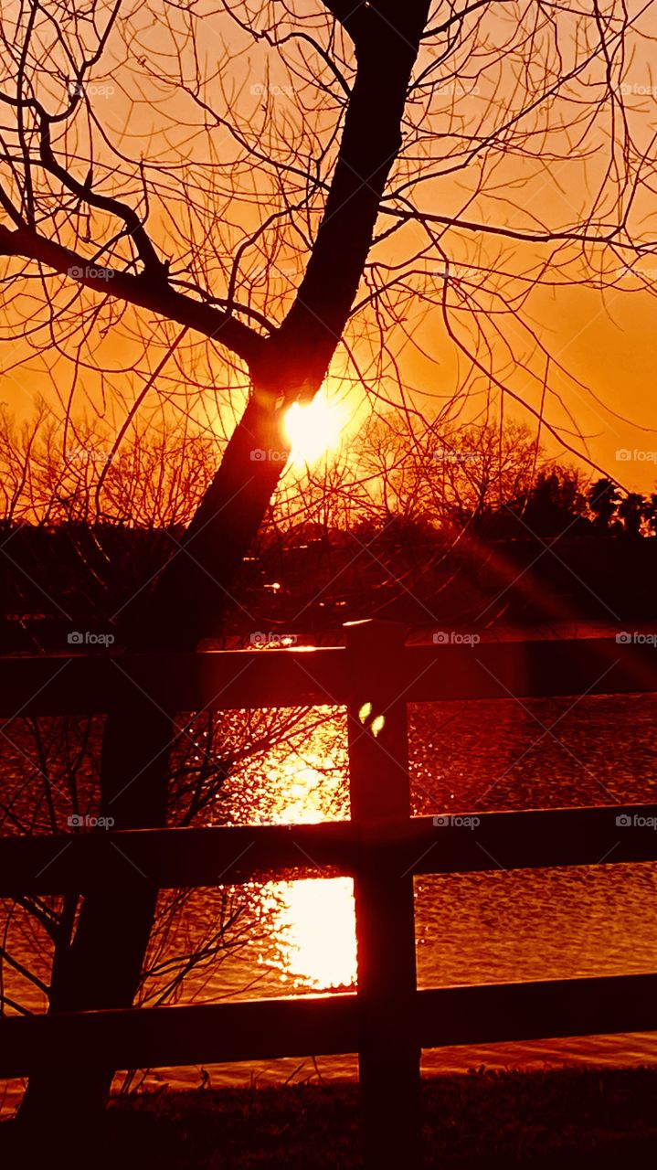 Evening silhouette Sunset Twilight heading on a crash Course for Night. Reflections of the Sun cascading over Lake Waters. Sun Rays exploding through Leafless branches of the Trees. Gorgeous colors.
