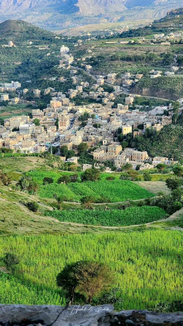 The image embodies a natural natural plate of the mountains of nature, where green agricultural stands are graded on the slopes as if they were lines of a poem, which fog harmoniously wrapped, and clouds hugged them in the mountain knife and the whis