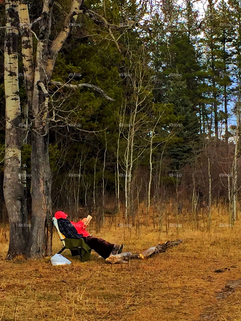 Man reading a book and leaning against a tree