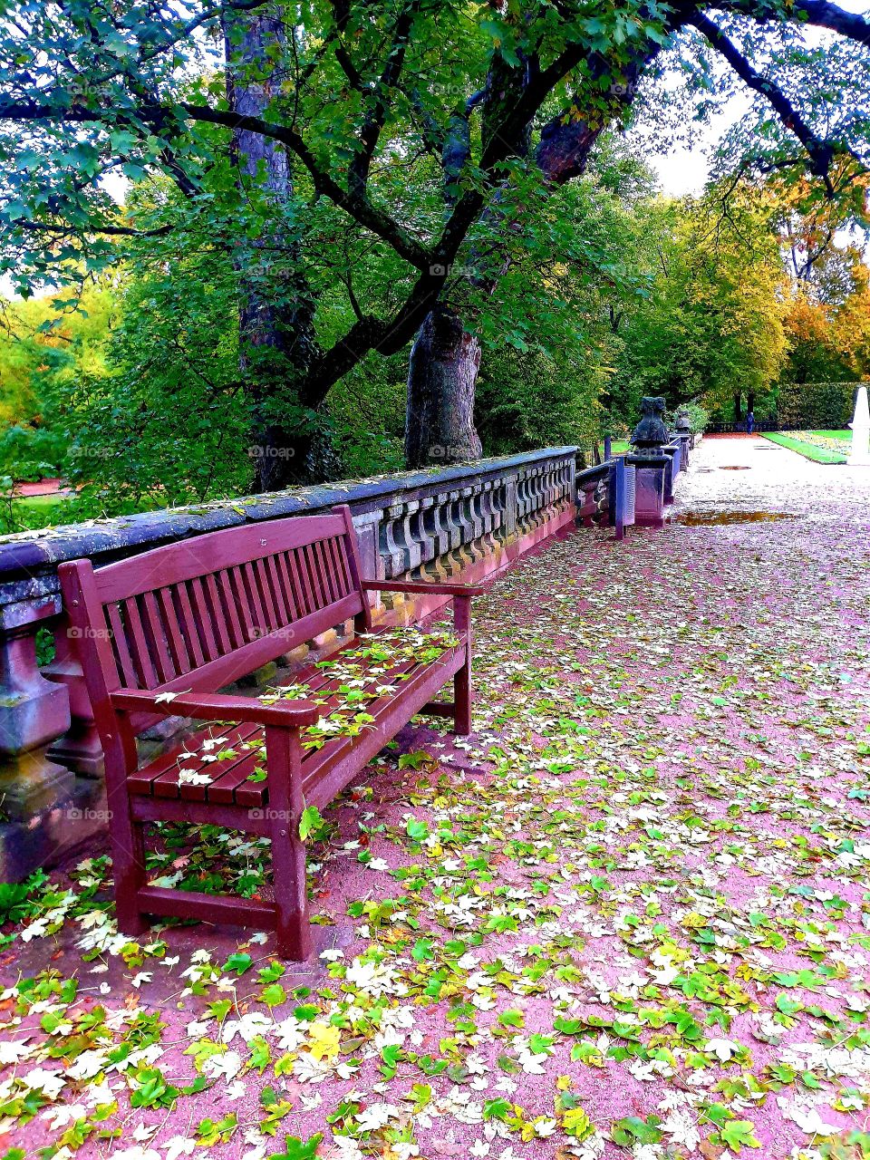 раннее утро в парке