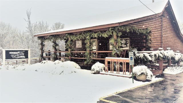 Cabin in the winter