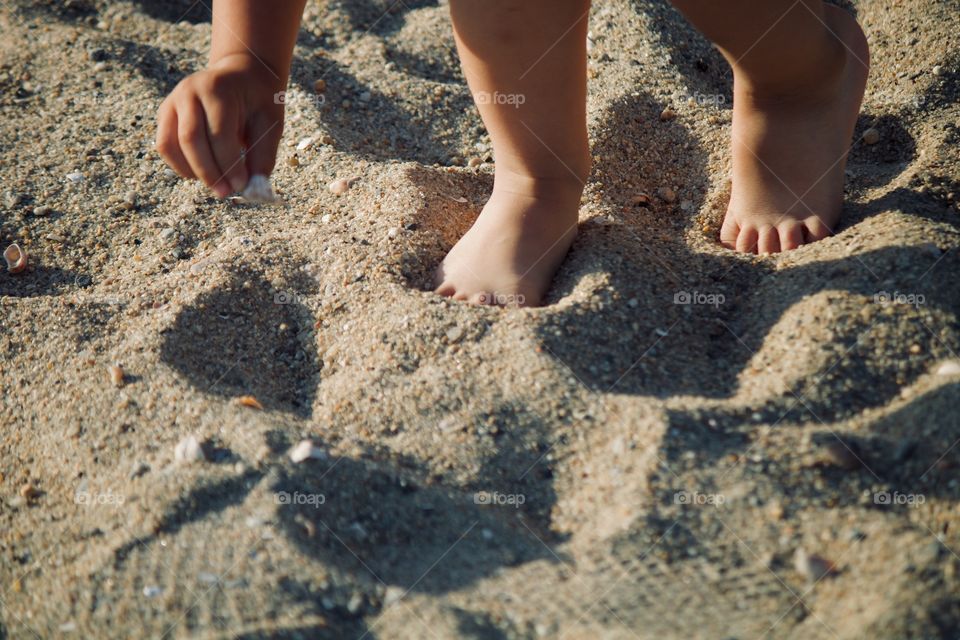 Collecting seashells by the seashore 