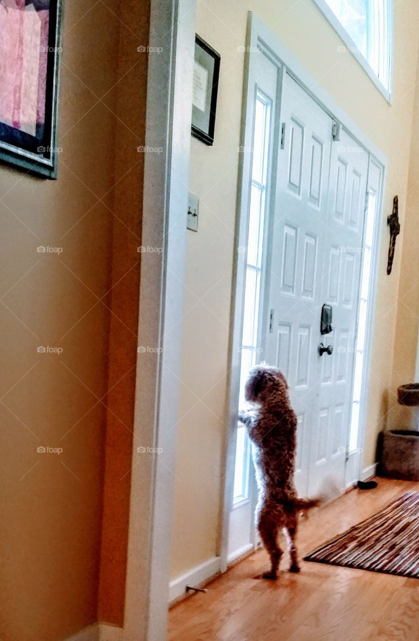 I have Ants in my pants and I can't wait one more second!