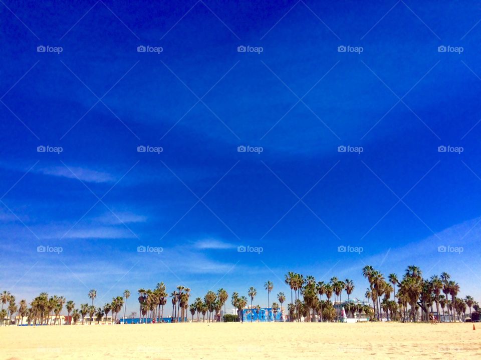 Venice Beach CA