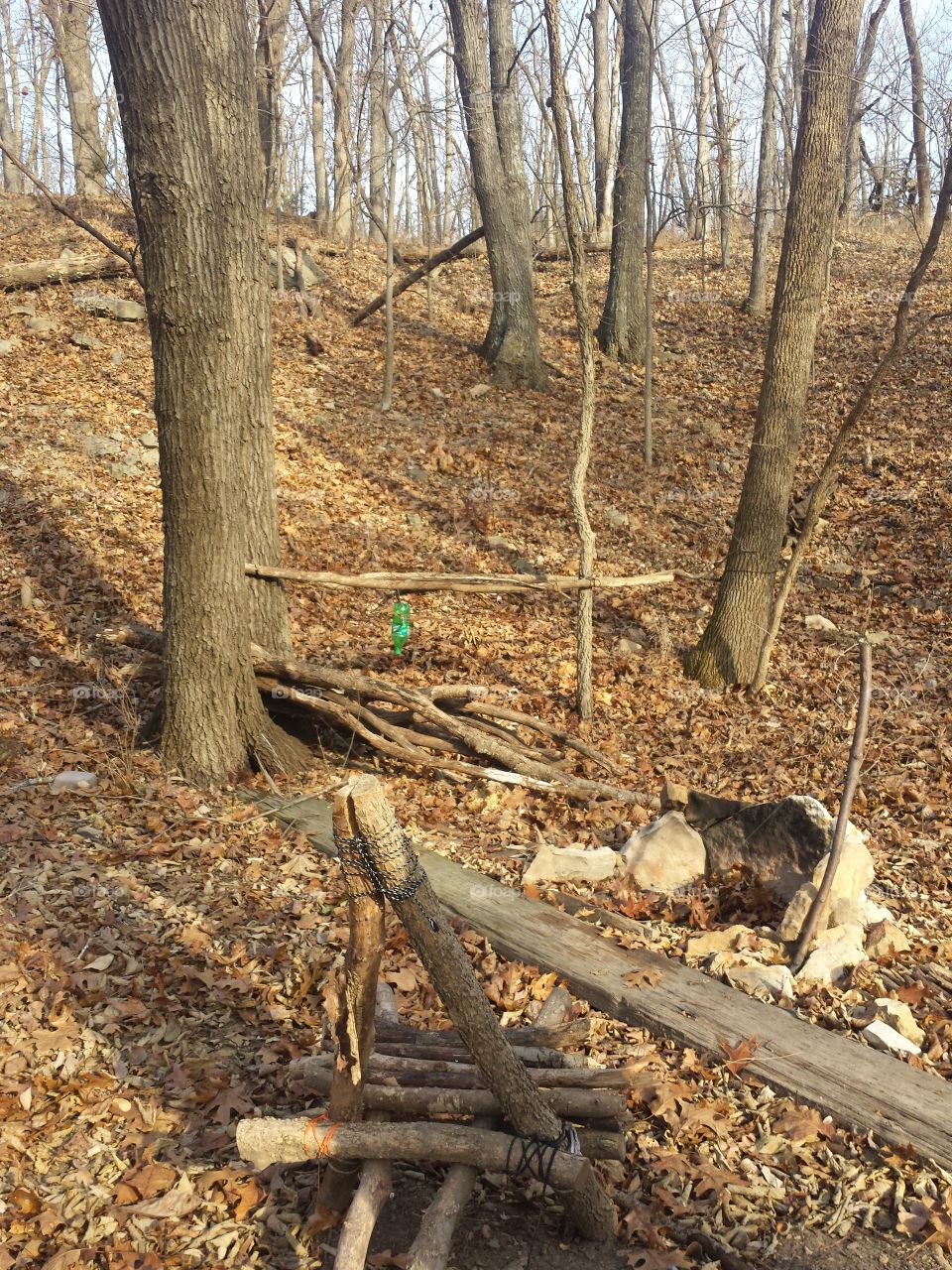 monkey mountain views