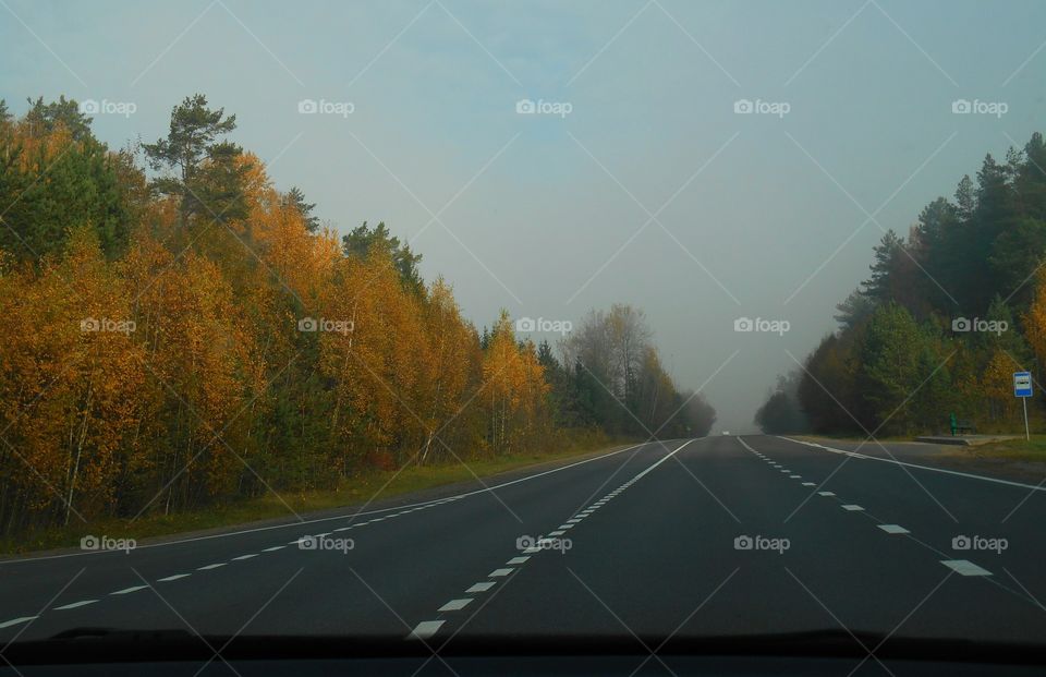 fall road