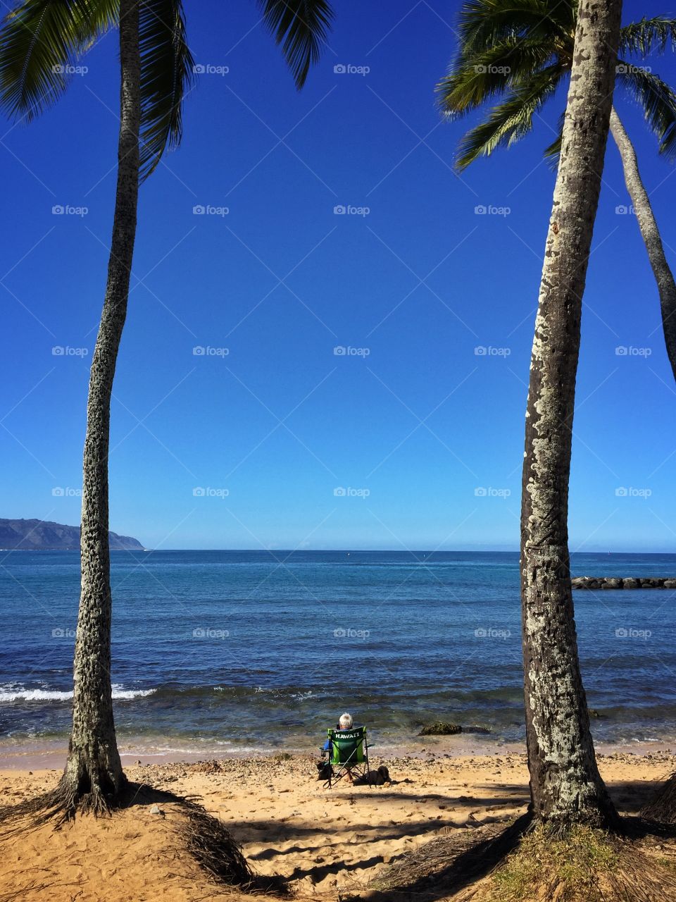 Hawaii chair