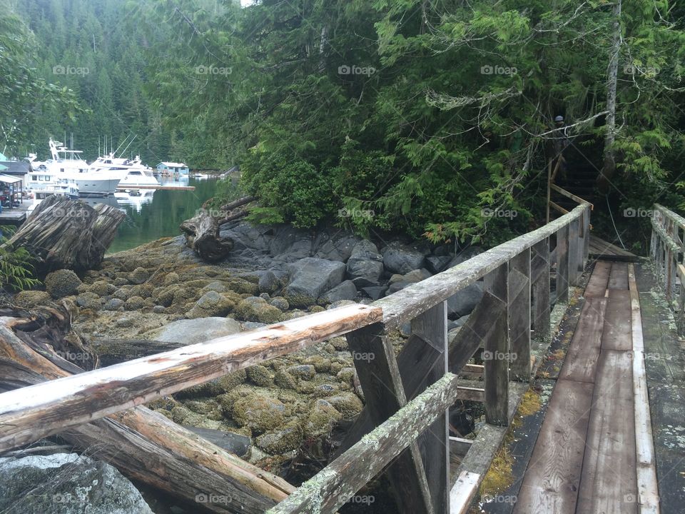 Wooden Bridge in Canadian Harbour