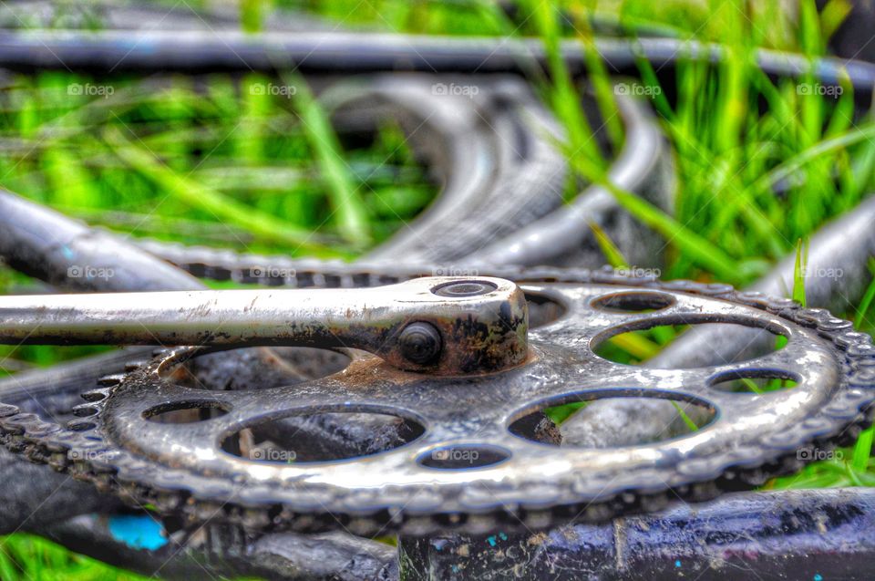 Detail of bicycle on green grass