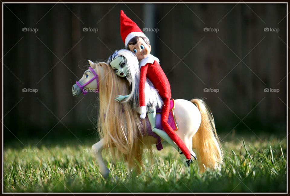 elf on the shelf horseback riding
