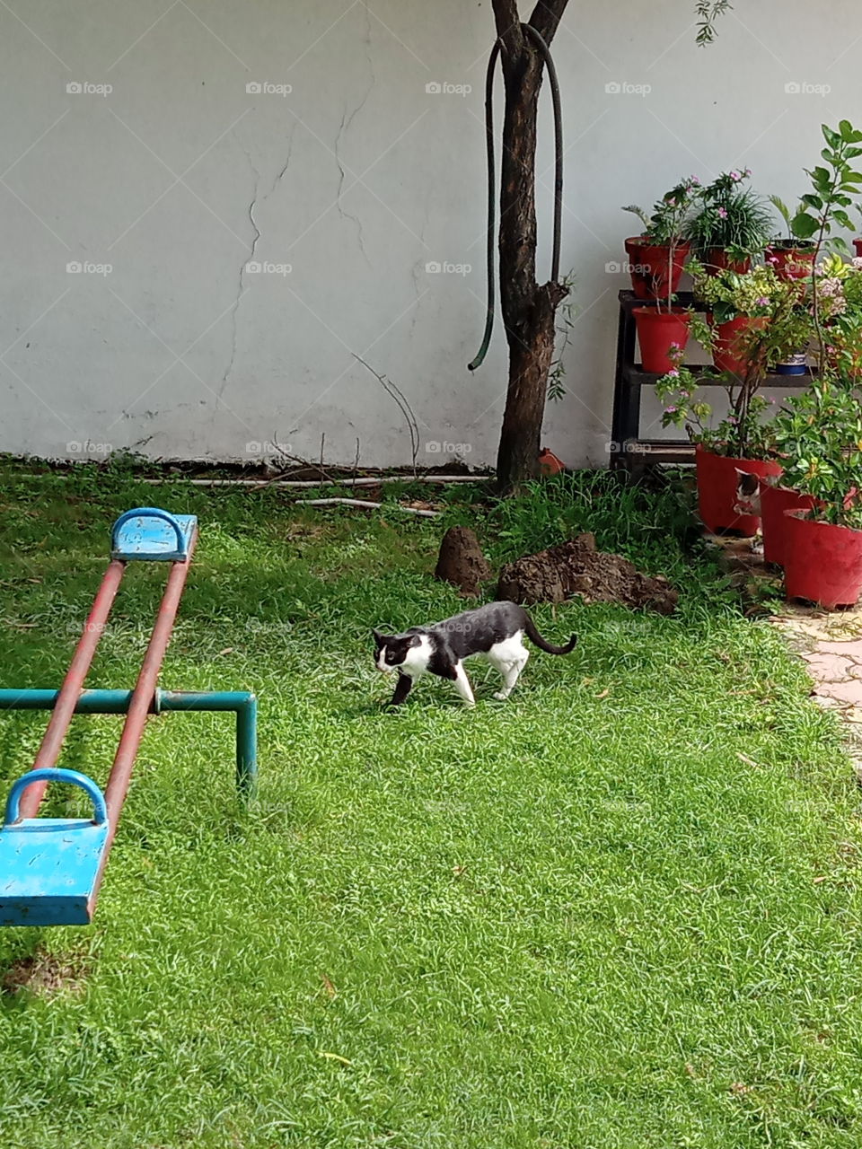 Looking for a playmate 😍