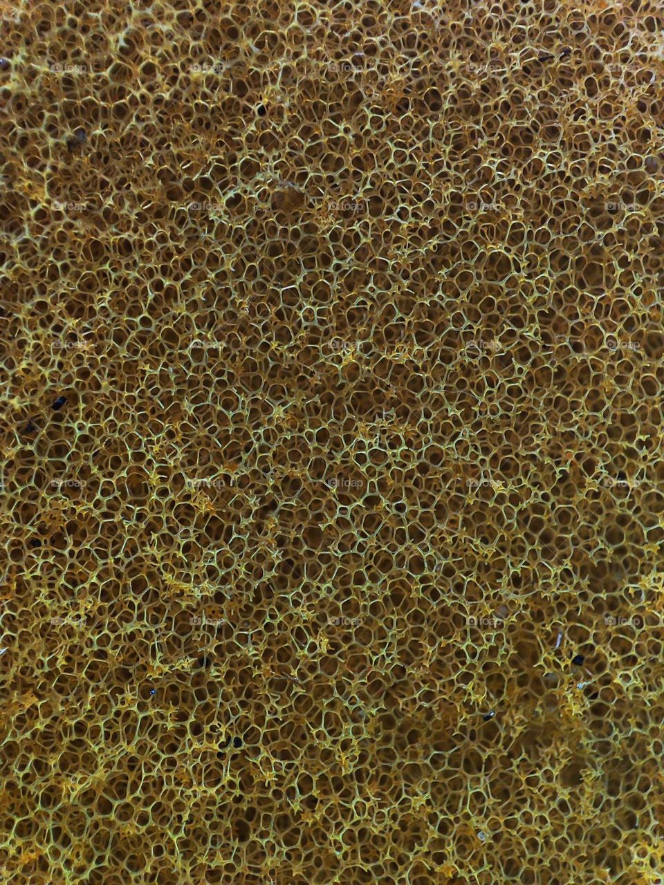 Macro photo texture of the washcloth