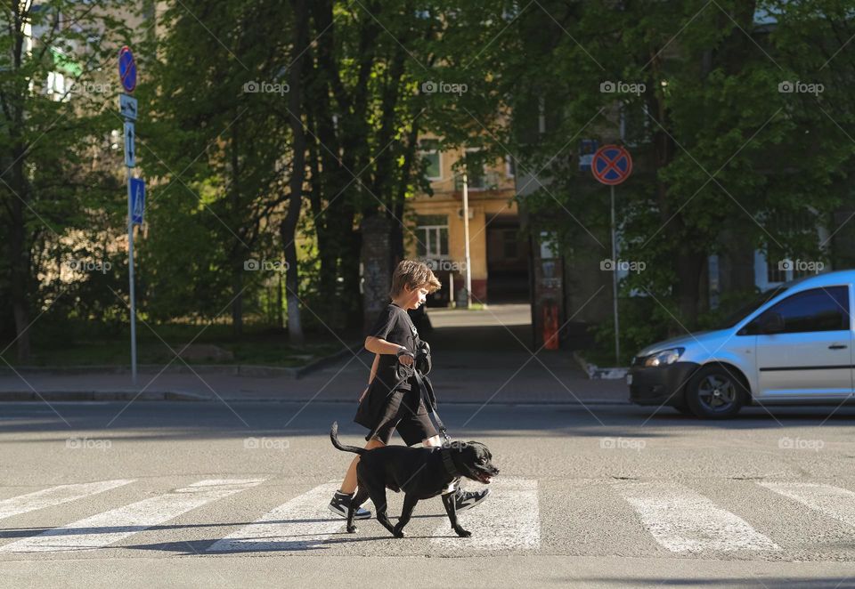 a boy of eight years in danger, walks the streets of the city with his beloved dog, friends