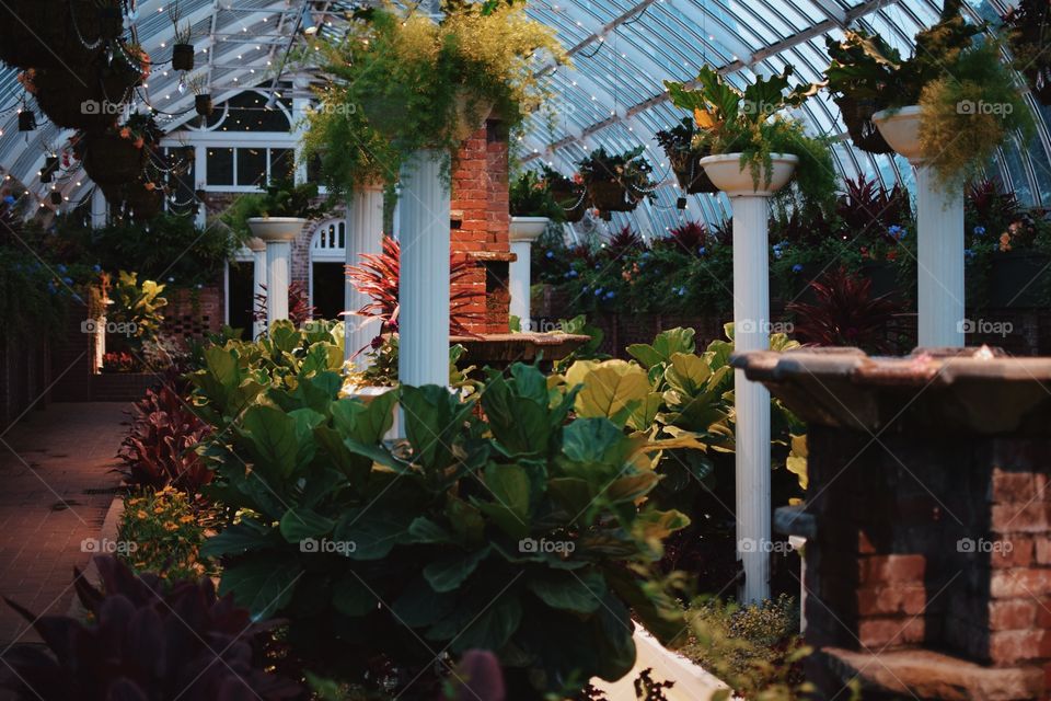 Phipps Conservatory