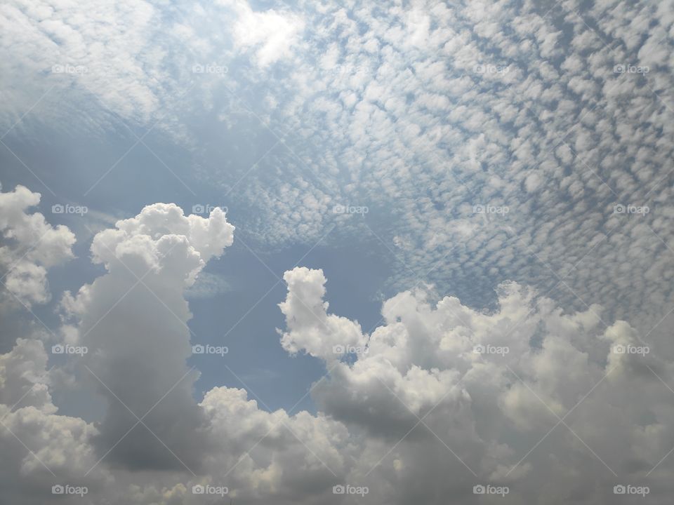 a image of different looks