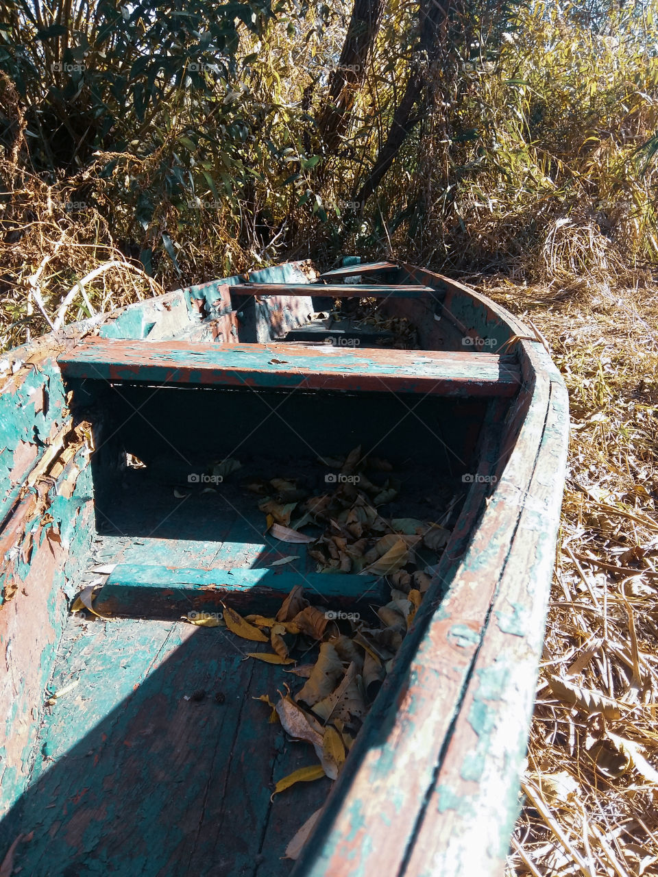 old broken boat on the shore autumn