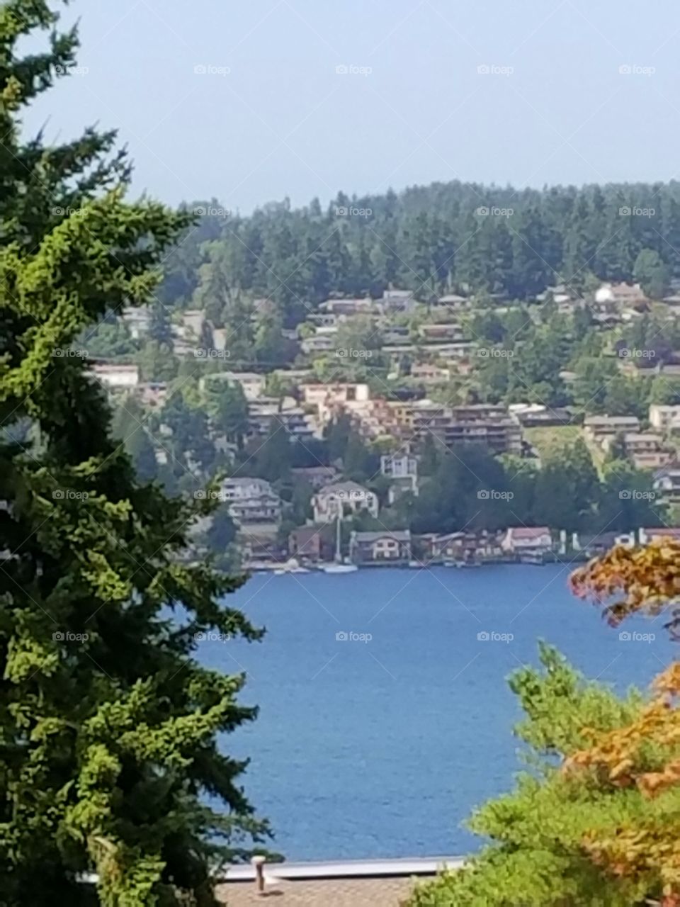 view across the lake
