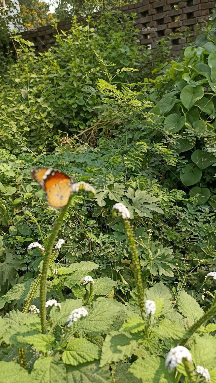 spring is on the way