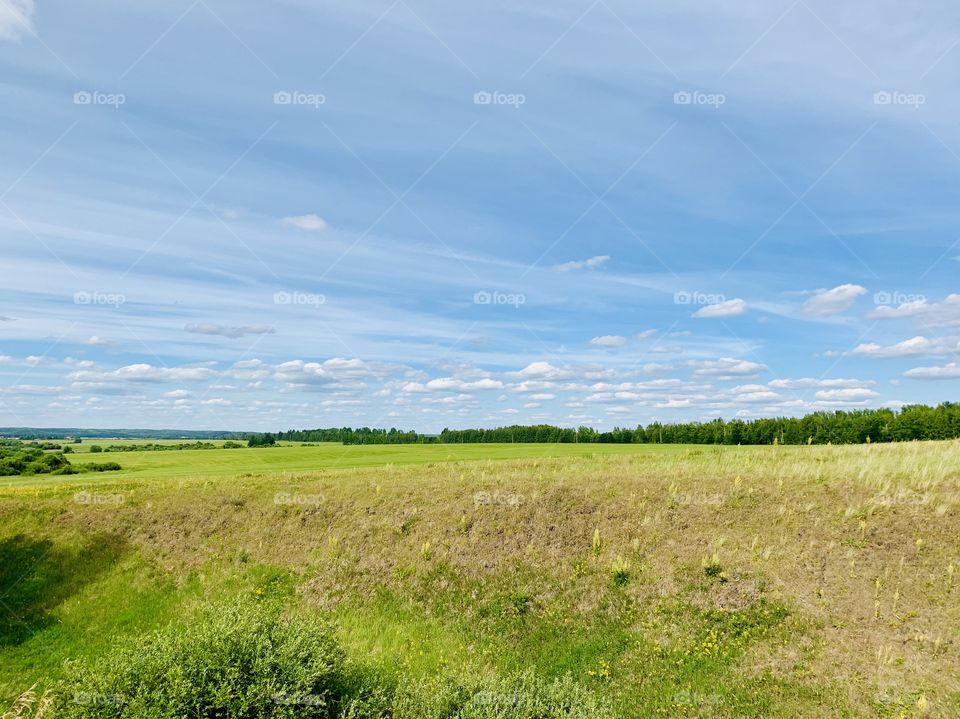 blue sky over summer meadow