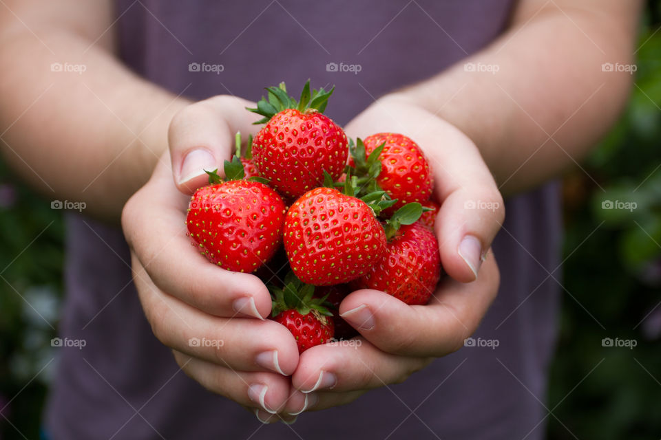 A handful of fresh, juicy strawberries.